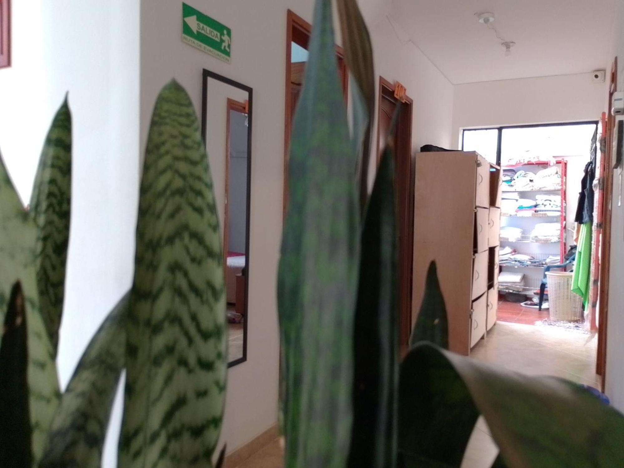 וילה דה לייבה Family Host Hostel מראה חיצוני תמונה